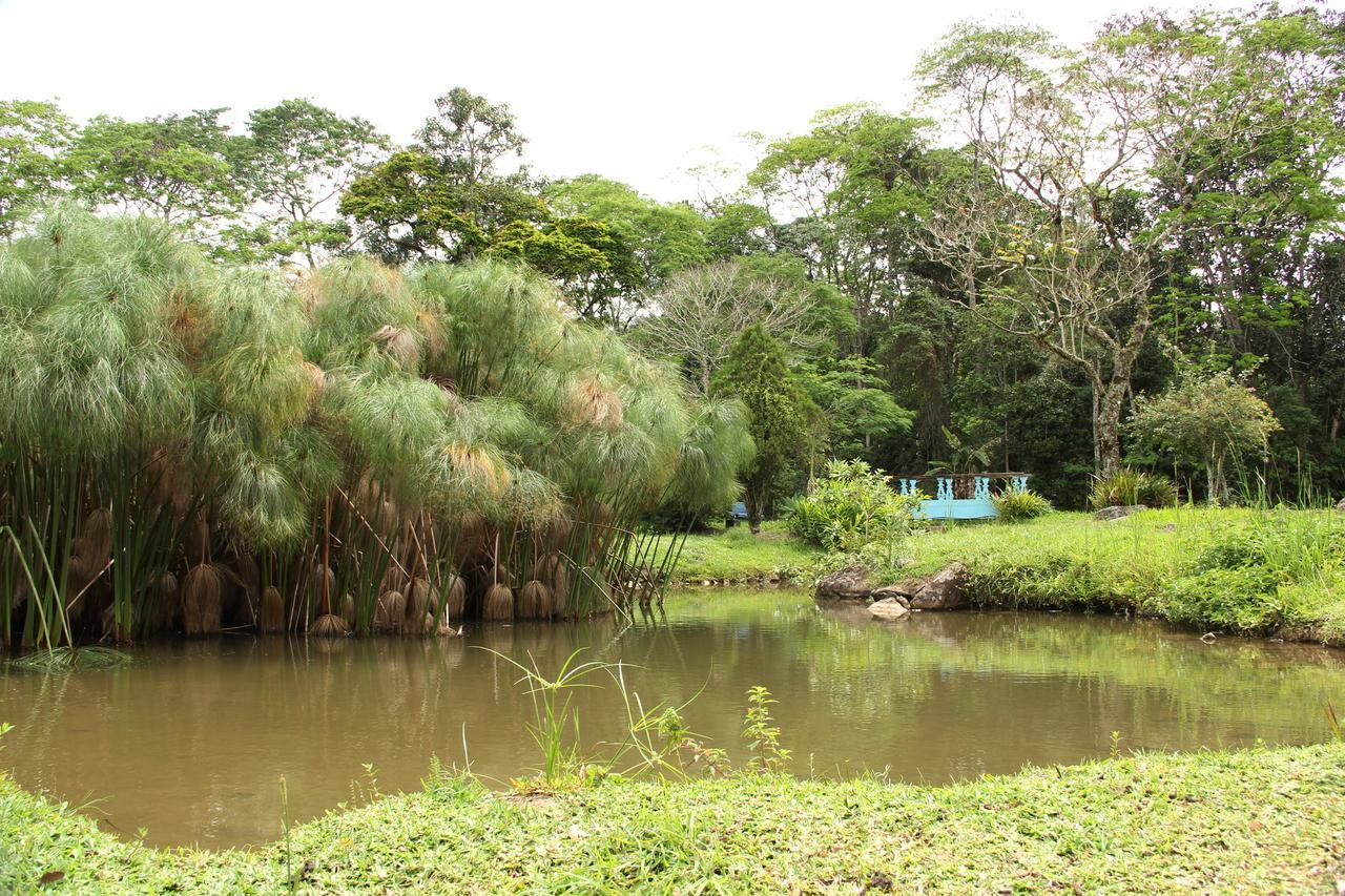 Hotel Pousada Esmeralda Itatiaia  Eksteriør billede