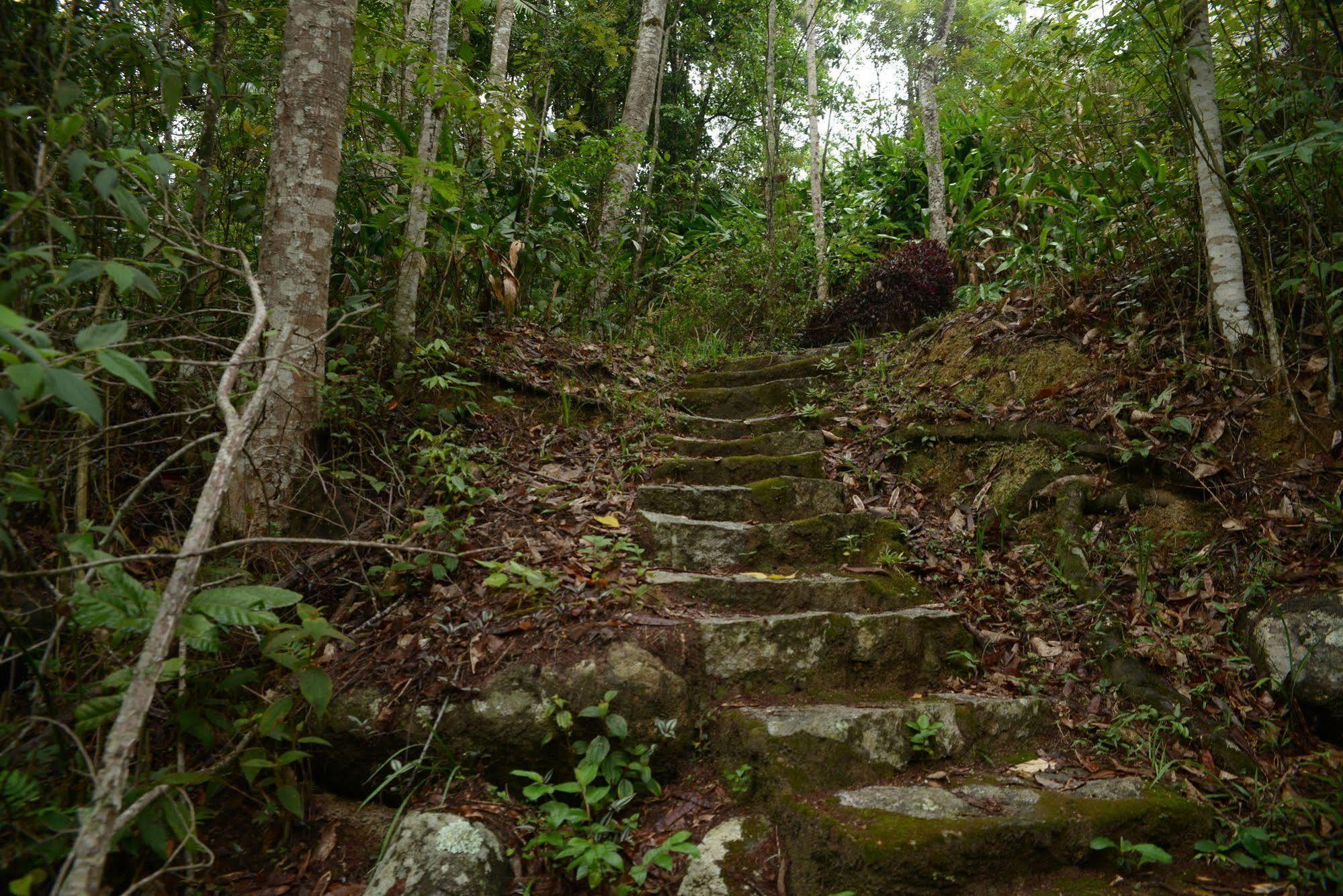 Hotel Pousada Esmeralda Itatiaia  Eksteriør billede